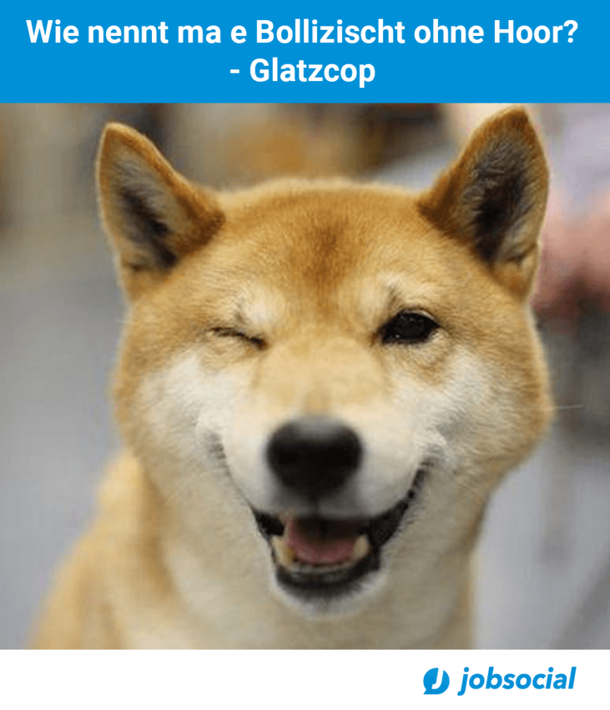 Glatzcop